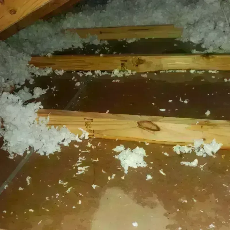 Attic Water Damage in Country Club, FL